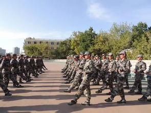 最新军训爆料文案怎么写,严酷训练背后的青春故事