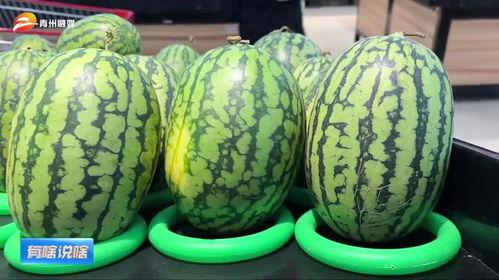 青岛潍坊网红吃瓜事件,一场网络舆论的风暴与反思