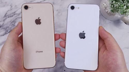 苹果八视频在线观看,在线观看，畅享视听盛宴